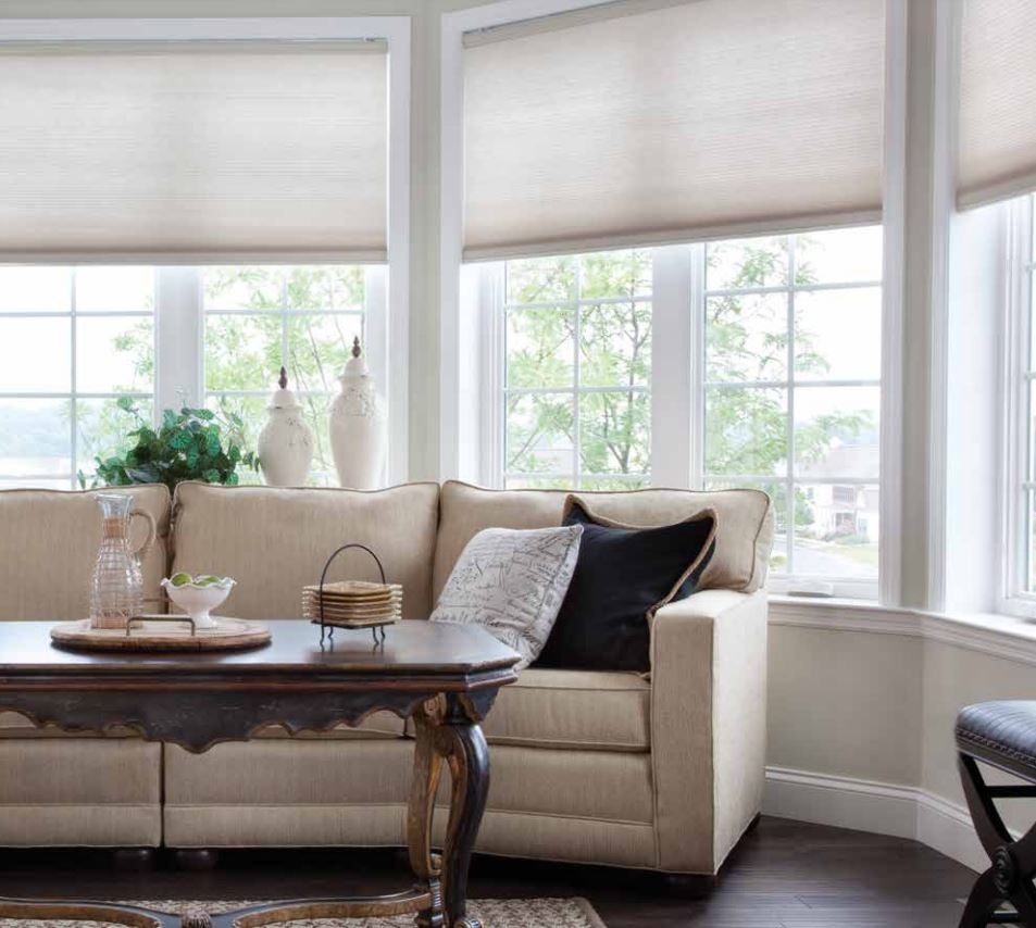 Lutron smart shades