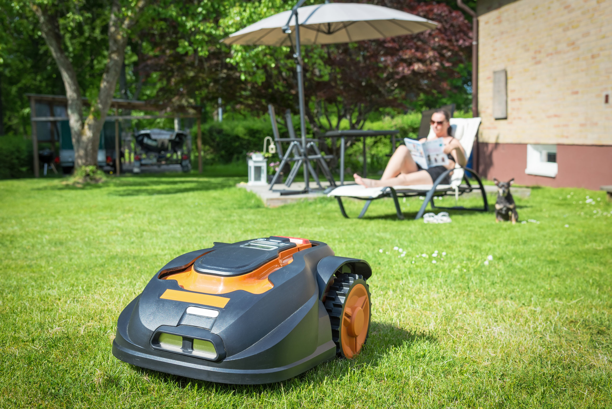 Automatic lawnmower in modern garden