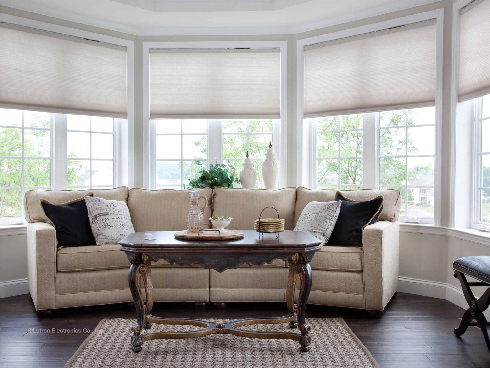 Lutron Blinds - Electric Blinds - Automatic blinds and shades